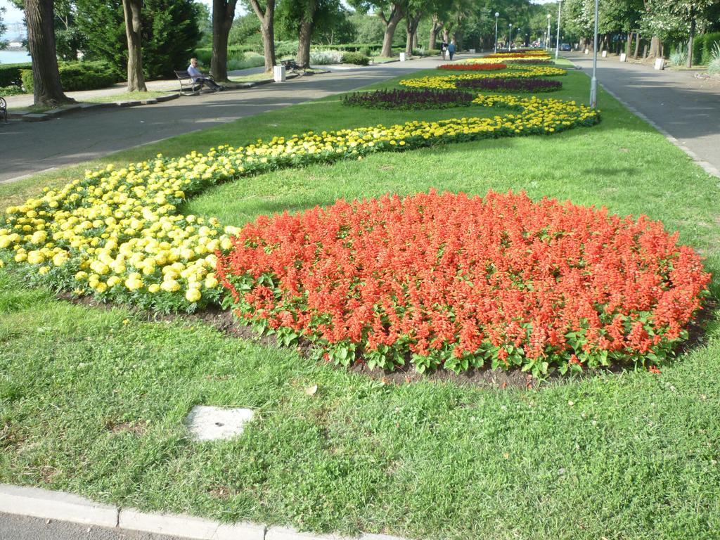 Sea Garden Plaza Apartment Burgas City Pokoj fotografie